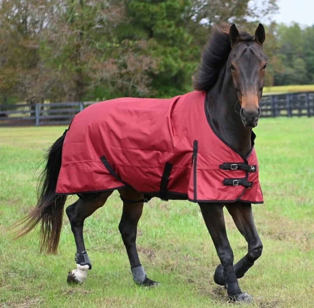 Gatsby Premium 1200D Heavyweight Turnout Blanket
