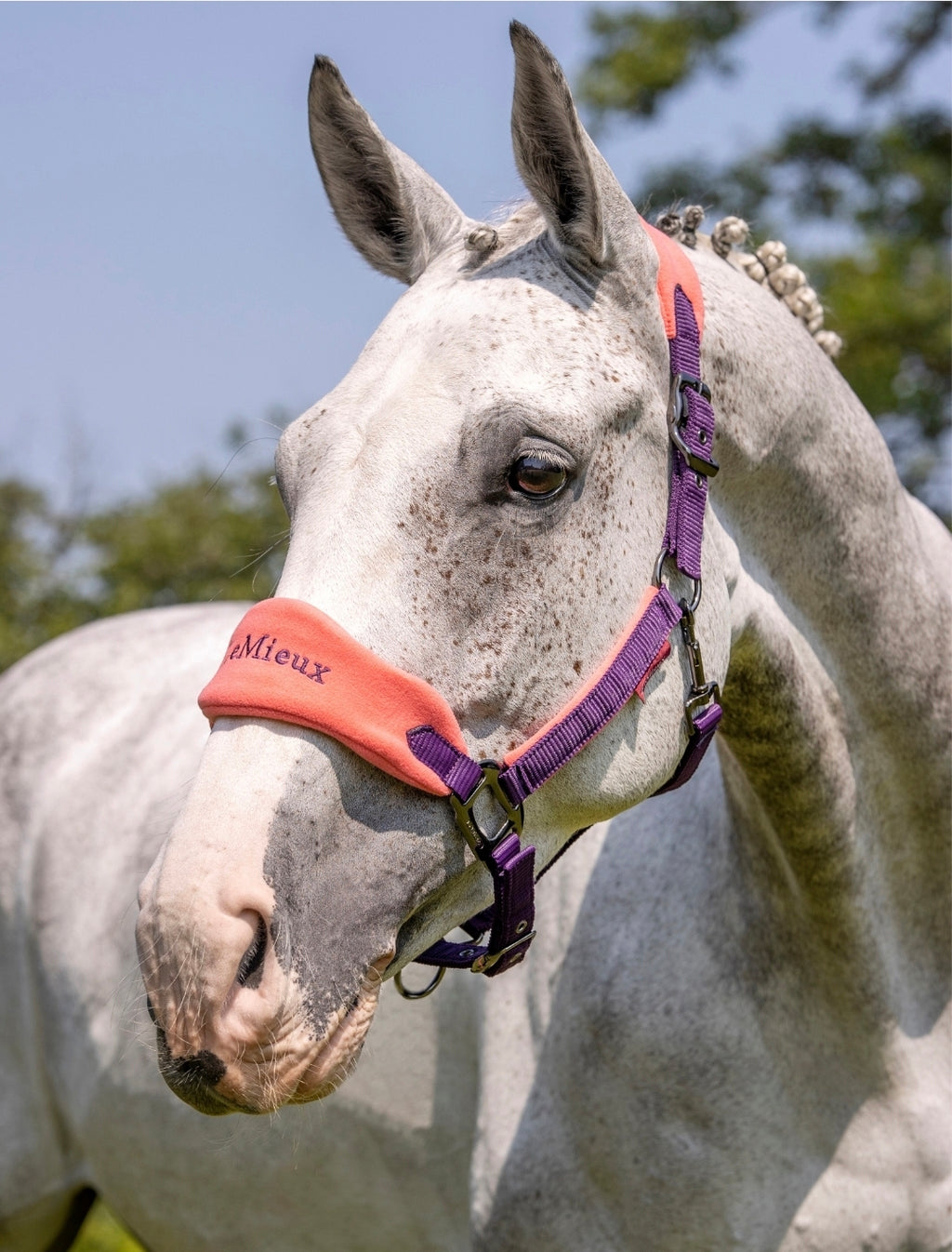 LeMieux Vogue Horse Halter & Leadrope
