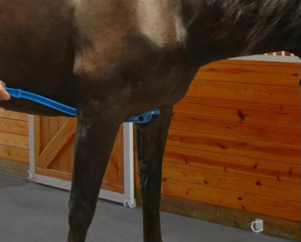 Scratch Me Silly Belly Scratcher