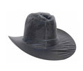 Equi-Sky Clear Western Hat Cover