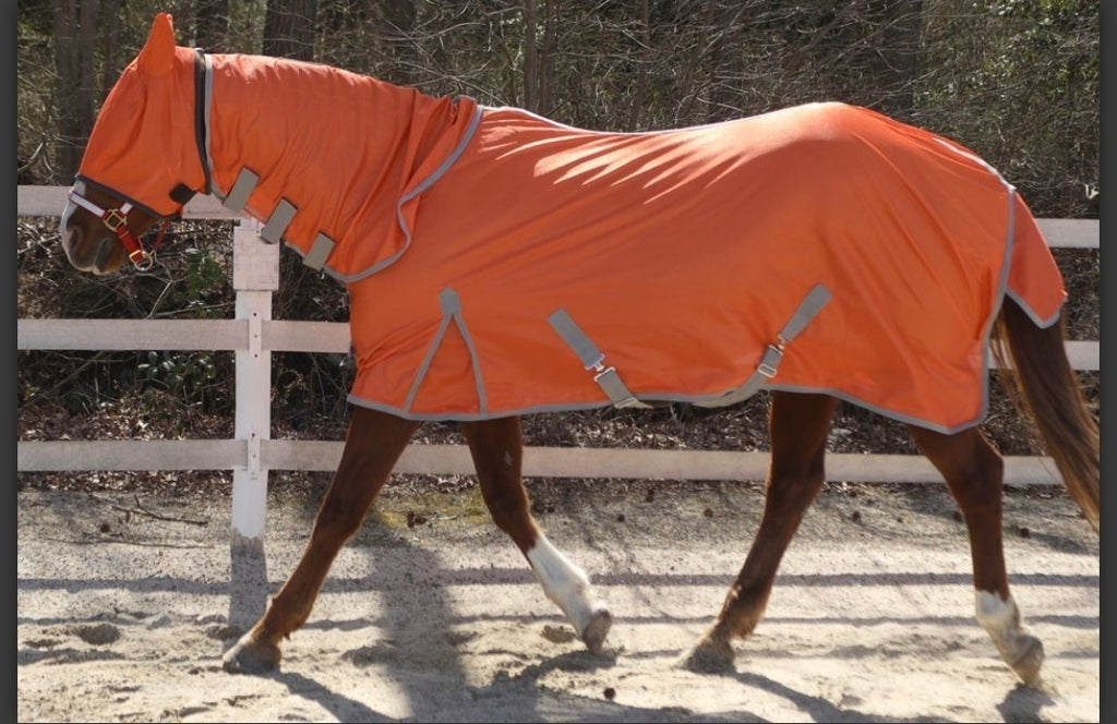 Rugged Ride Combo Neck Fly Sheet With Leg Straps and Color Matched Mask