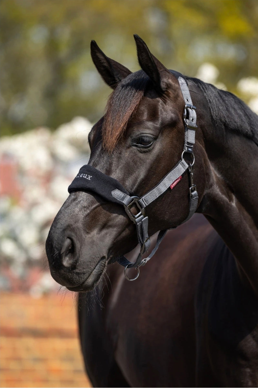LeMieux Vogue Halter