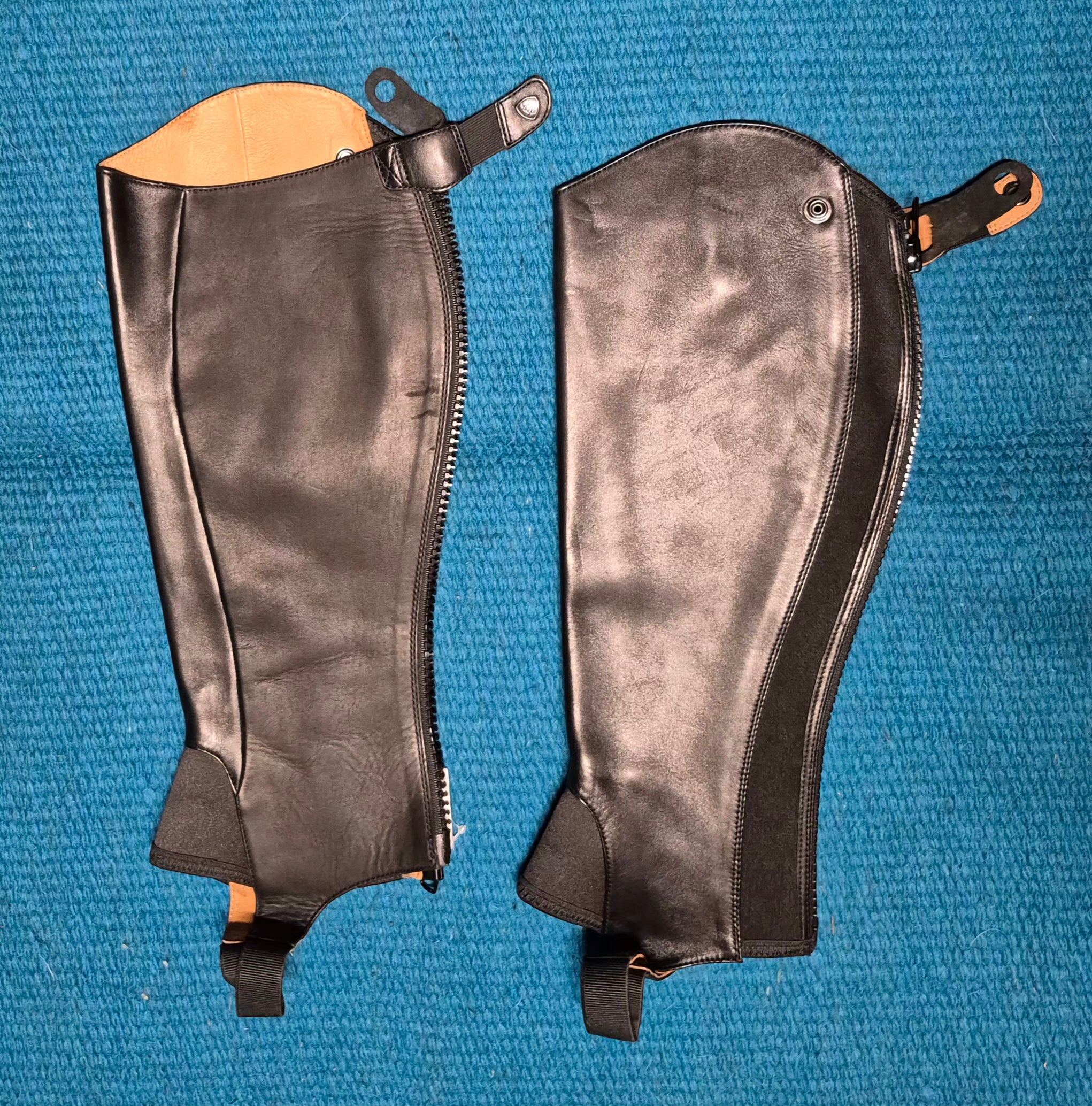Ariat Close Contour Half Chap (Unisex)