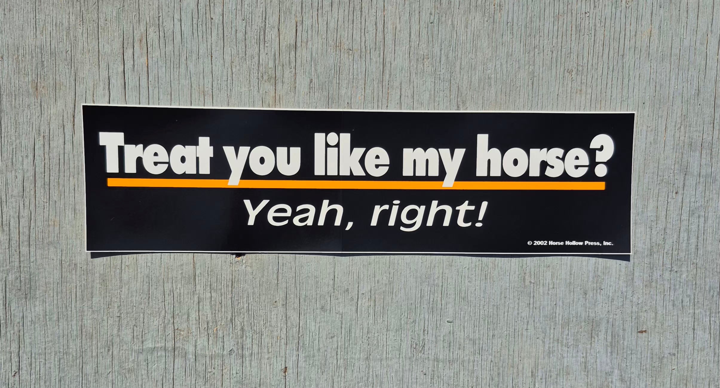 Horse Bumper Sticker "Treat Like Horse"