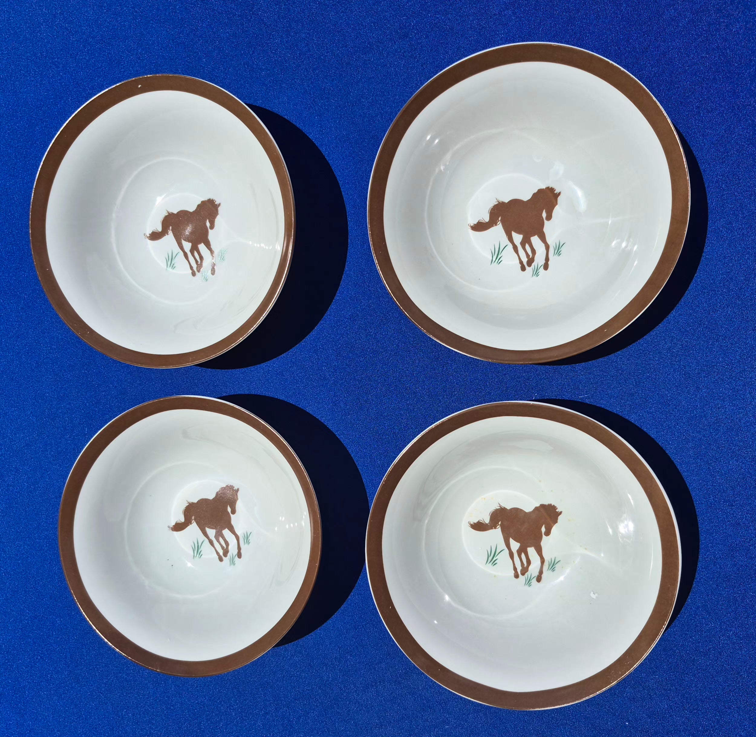 Running Wild Collection Dinnerware Set