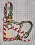 Christmas halter (pony)