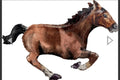 Horse-Shaped 40-inch Mylar Balloon