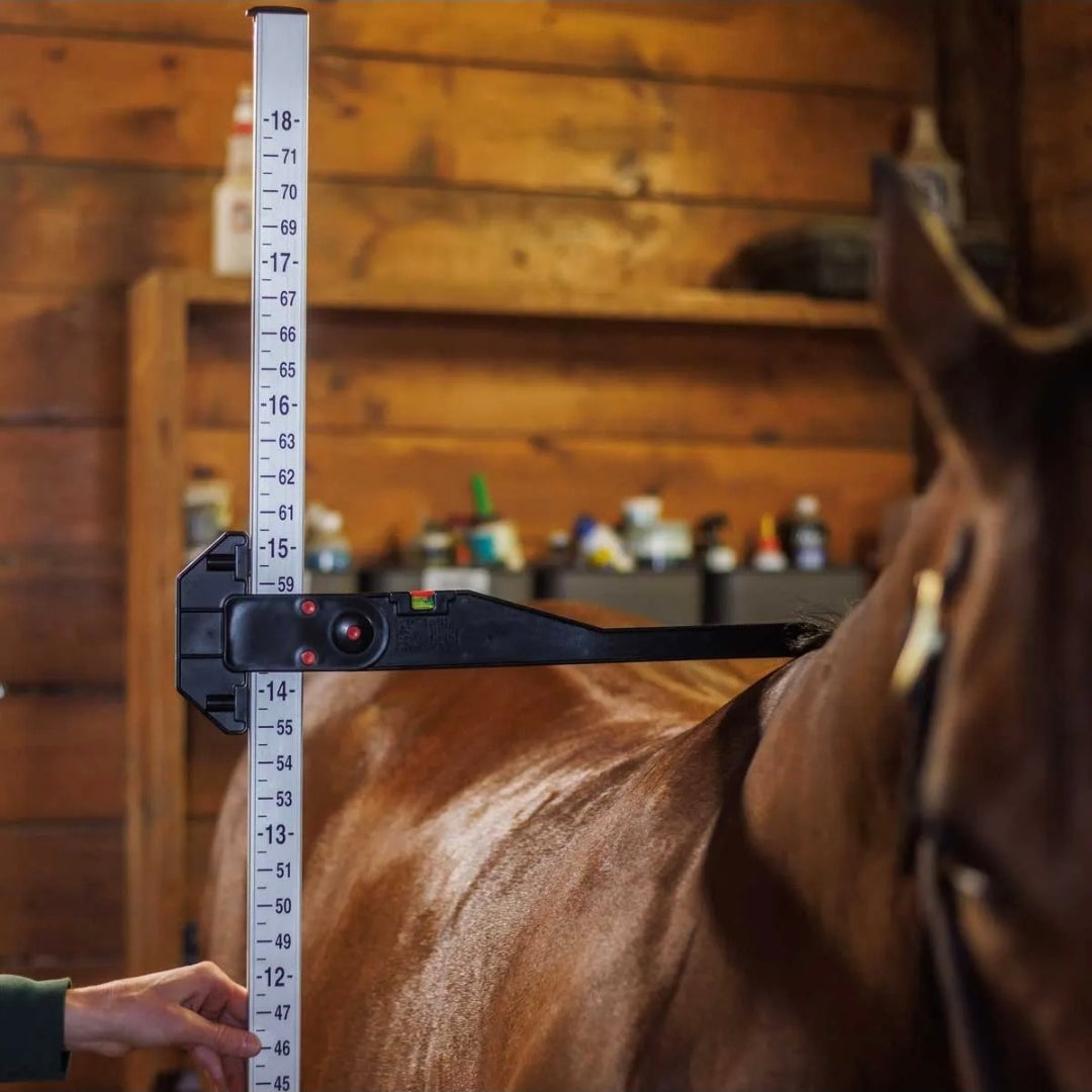 Gatsby Horse Measuring Stick