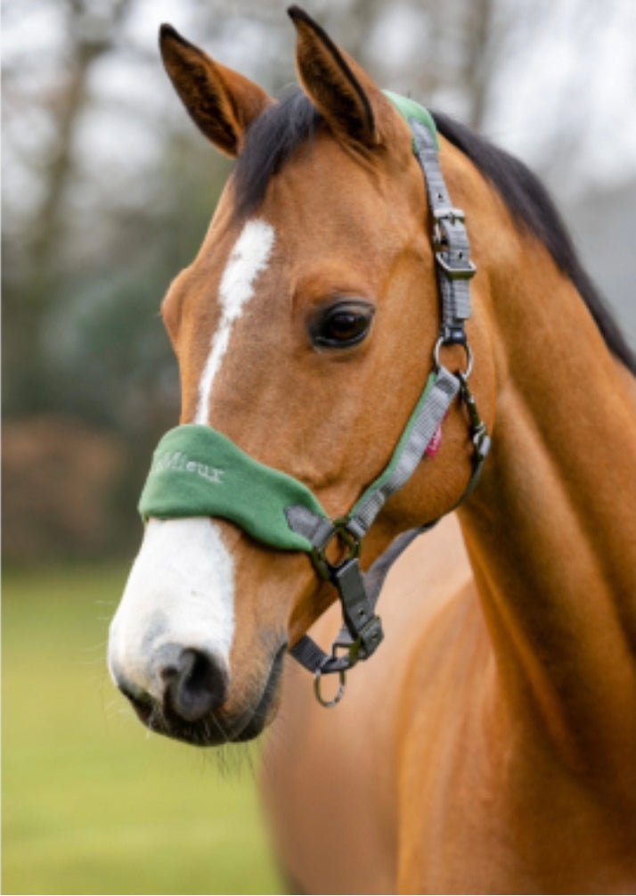 LeMieux Vogue Horse Halter & Leadrope
