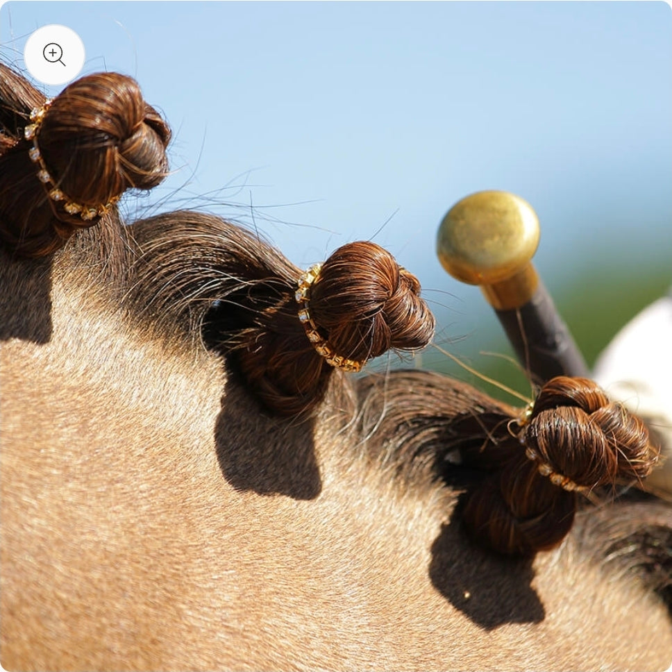 Spiced Equestrian Braid Bling