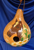 Handpainted Amish Birdhouse Gourds