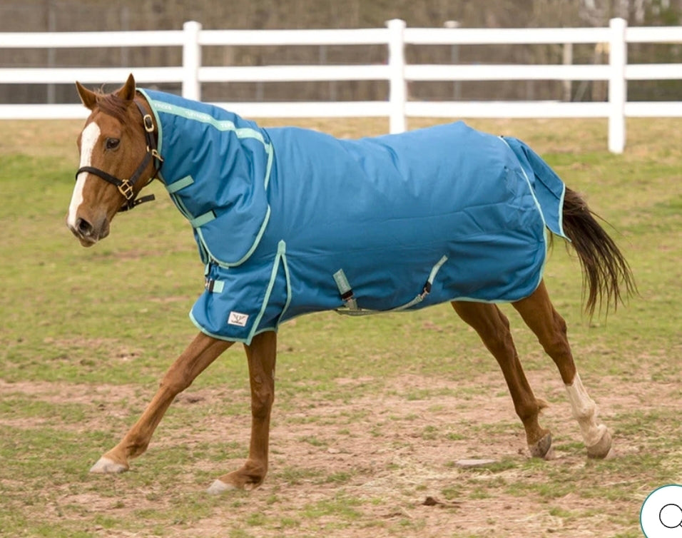 TuffRider EcoRider 1200 D Medium Weight Turnout Blanket w/Combo Neck 250g