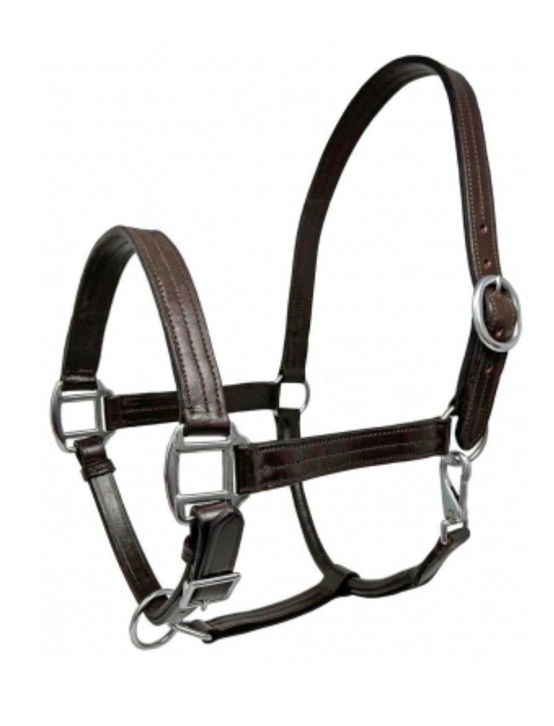 Rugged Ride Leather Turnout Halter
